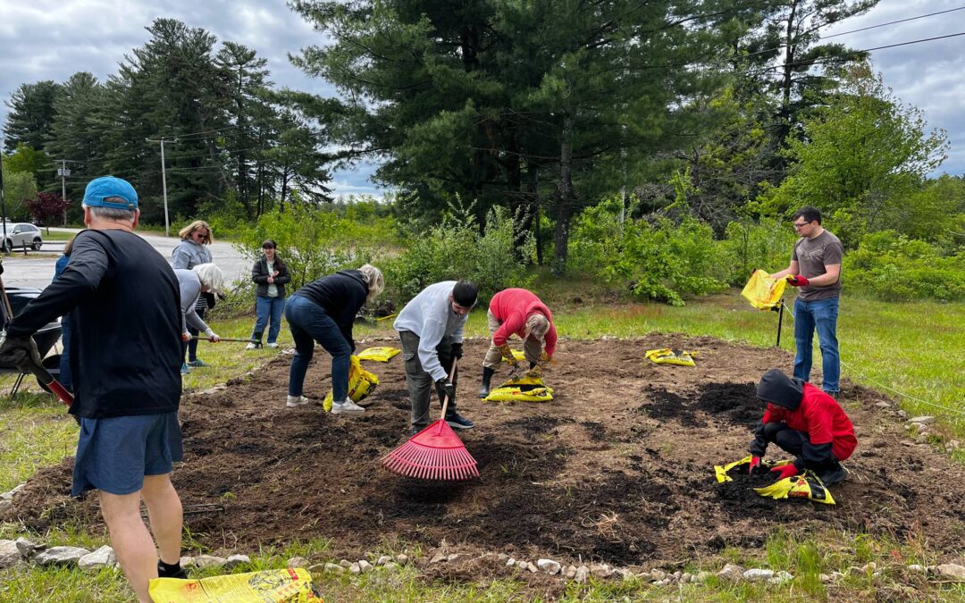 How a Pollinator Garden Became a Turtle Nursery