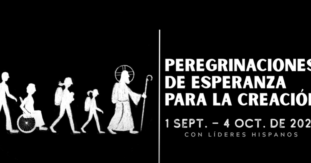 Jóvenes Peregrinos: Una Nueva Esperanza para la Creación