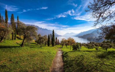 Peace with Creation: Silent Retreat & Ecological Pilgrimage